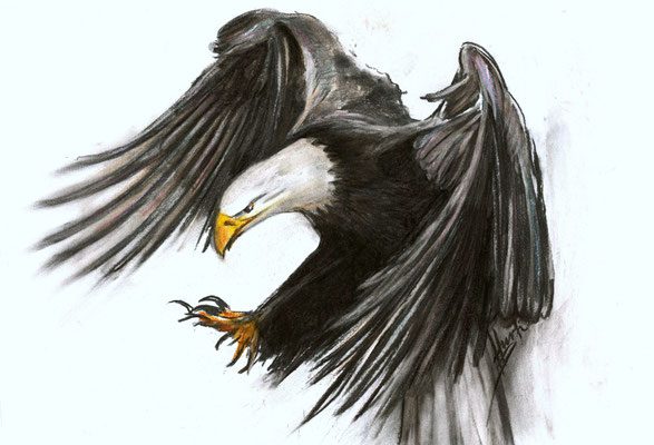 75