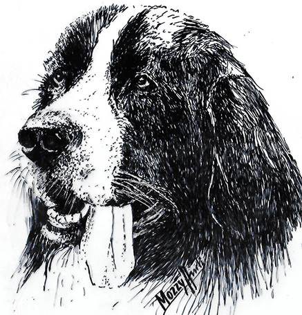 image002
