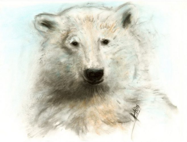 Wildtier27562